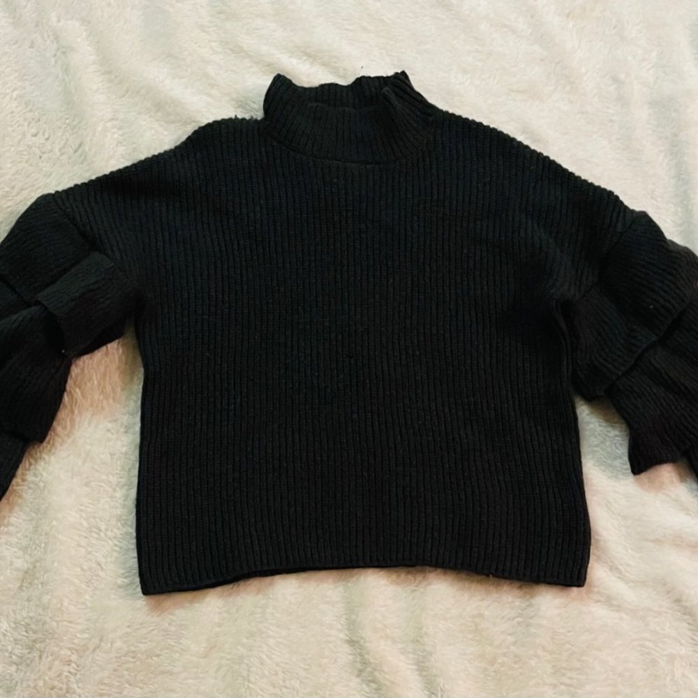 Ruffled Sleeve Sweater